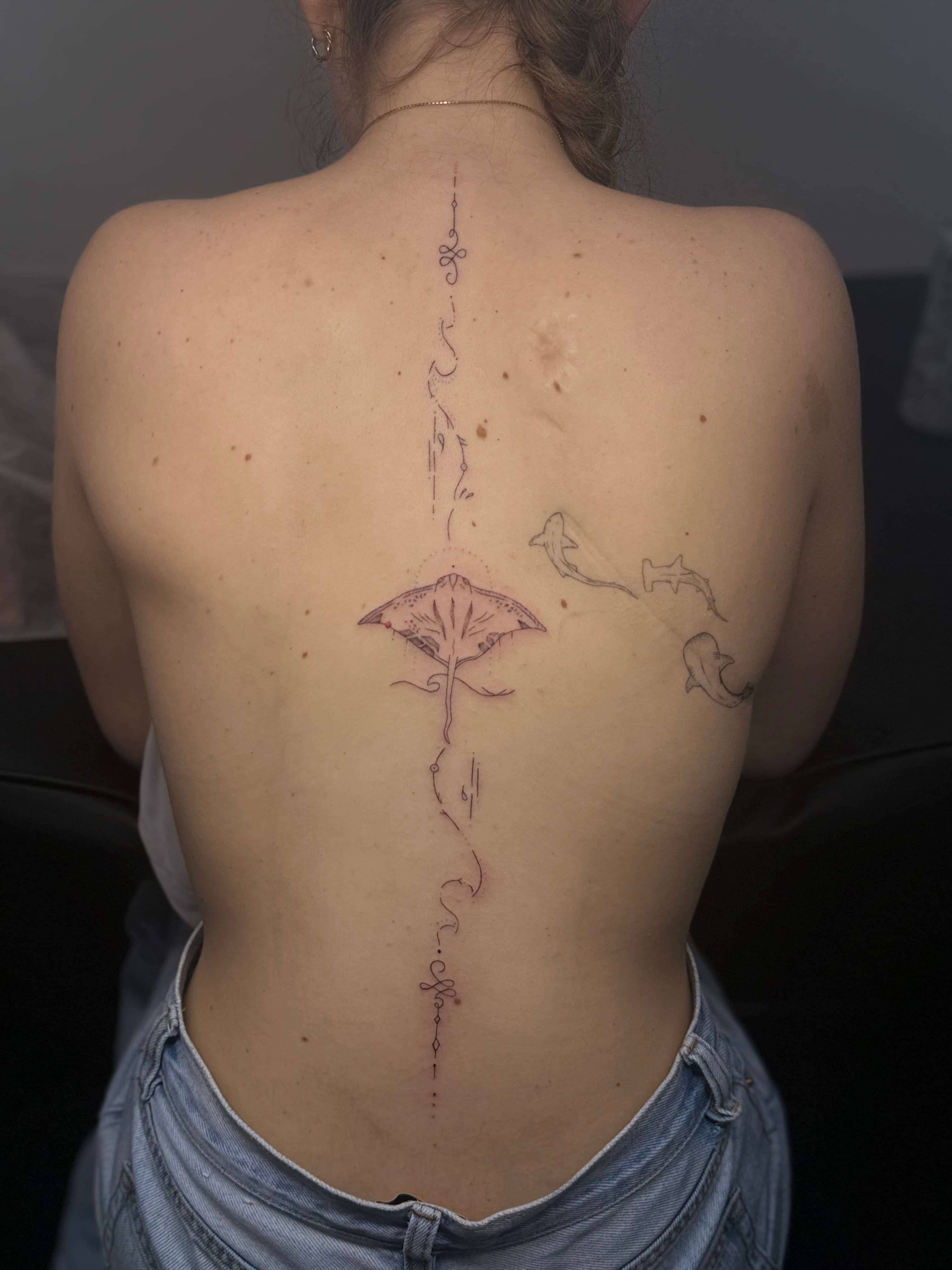 IMG 0900